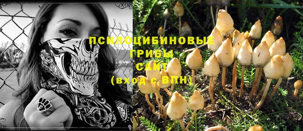 сатива Баксан
