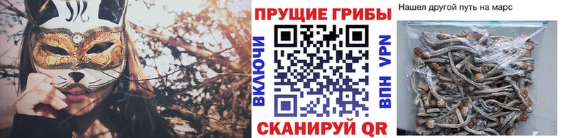 кракен ONION  Городище  Псилоцибиновые грибы Magic Shrooms 